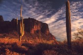 images/albums/Superstition Wilderness/S03122401.jpg